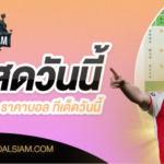 ตารางบอลวันนี้ โปรแกรมบอล ราคาบอลวันนี้